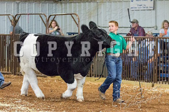 MAYES_COUNTY_FAIR_steer-4047