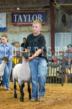MAYES_COUNTY_FAIR_SHEEP-2855