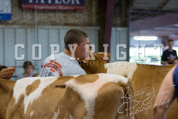 MAYES_COUNTY_FAIR_DAIRY-3311