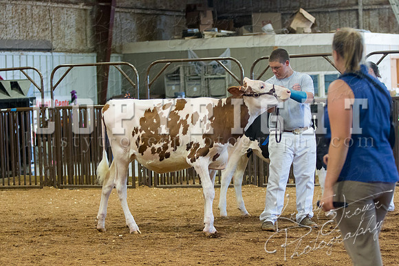 MAYES_COUNTY_FAIR_DAIRY-3355