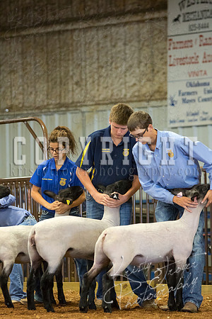 MAYES_COUNTY_FAIR_SHEEP-3087
