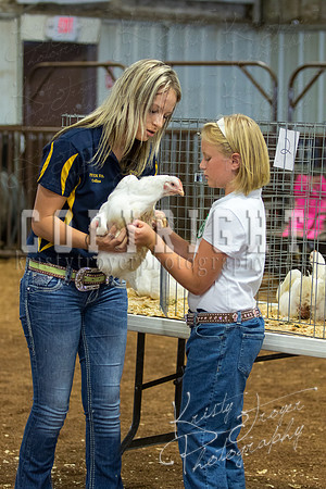 MAYES_COUNTY_FAIR_boiler-3877