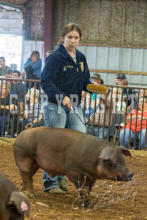 MAYES_COUNTY_FAIR_Swine-9524