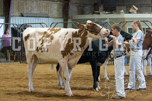 MAYES_COUNTY_FAIR_DAIRY-3358