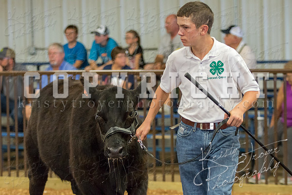 MAYES_COUNTY_FAIR_steer-3953