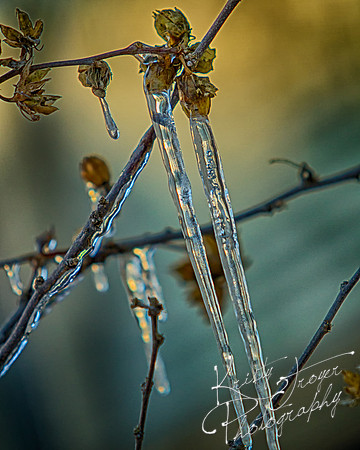 ice cycles