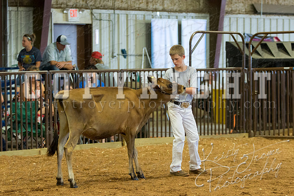 MAYES_COUNTY_FAIR_DAIRY-3360