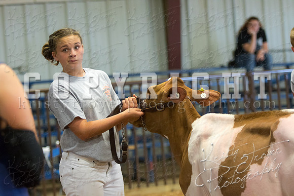 MAYES_COUNTY_FAIR_DAIRY-3309