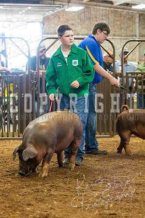 MAYES_COUNTY_FAIR_Swine-9473