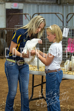 MAYES_COUNTY_FAIR_boiler-3878