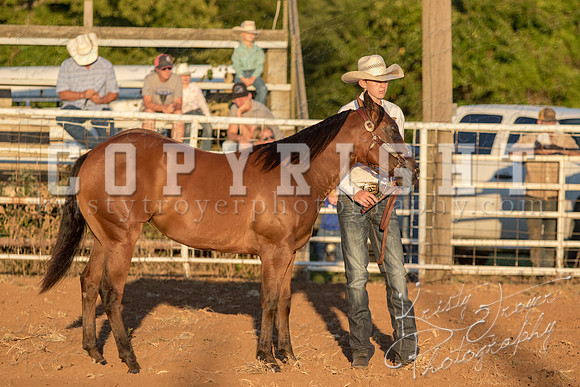 2018_Halter_Horse_Show_1586