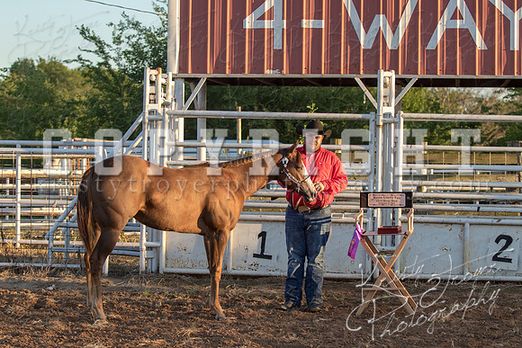2018_Halter_Horse_Show_1587