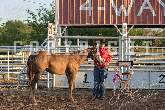 2018_Halter_Horse_Show_1589