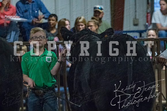 mayes__county_fair_beef_3457