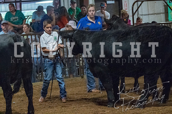 mayes__county_fair_beef_3460
