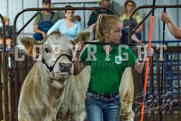 mayes__county_fair_beef_3461