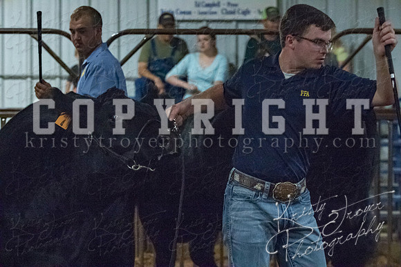 mayes__county_fair_beef_3462