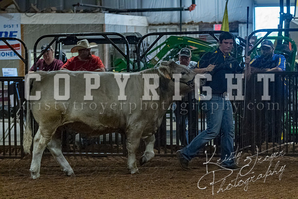 mayes__county_fair_beef_3463