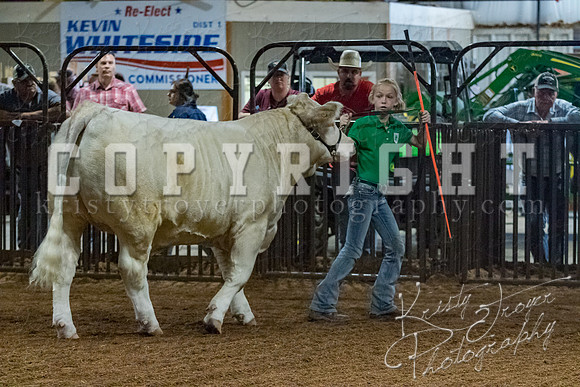 mayes__county_fair_beef_3464