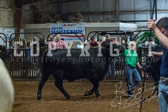 mayes__county_fair_beef_3465