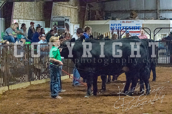 mayes__county_fair_beef_3466