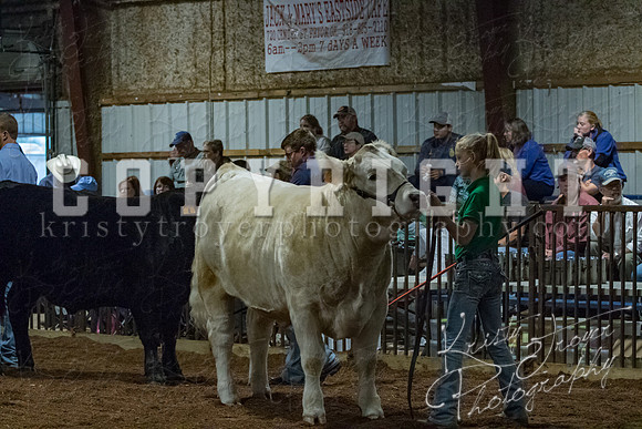 mayes__county_fair_beef_3467