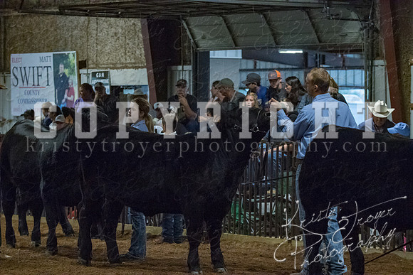 mayes__county_fair_beef_3468