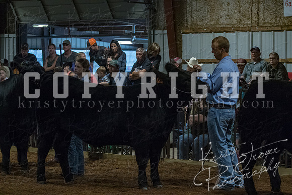 mayes__county_fair_beef_3469