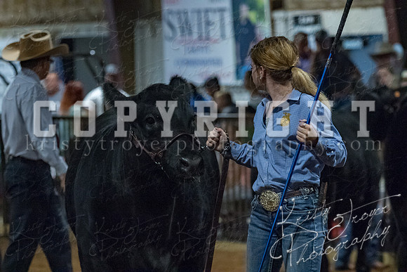 mayes__county_fair_beef_3470