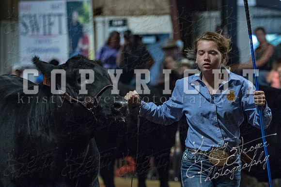 mayes__county_fair_beef_3471
