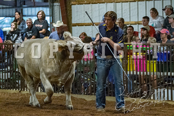 mayes__county_fair_beef_3472