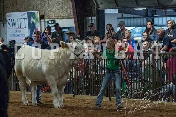mayes__county_fair_beef_3473