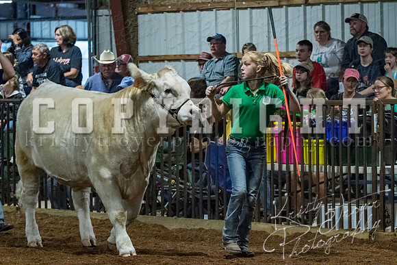mayes__county_fair_beef_3474