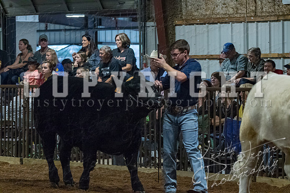 mayes__county_fair_beef_3475