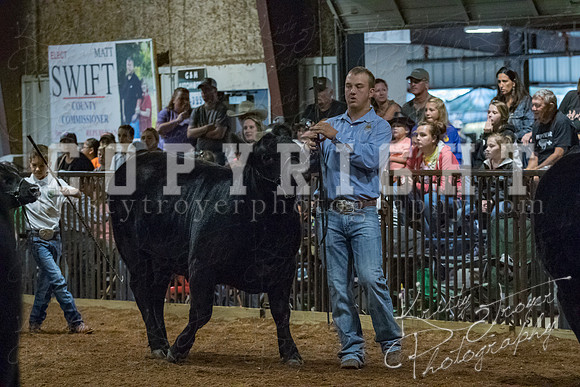 mayes__county_fair_beef_3476