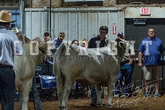 mayes__county_fair_beef_3477