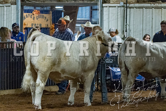 mayes__county_fair_beef_3478