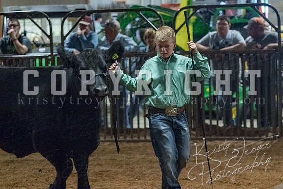 mayes__county_fair_beef_3503