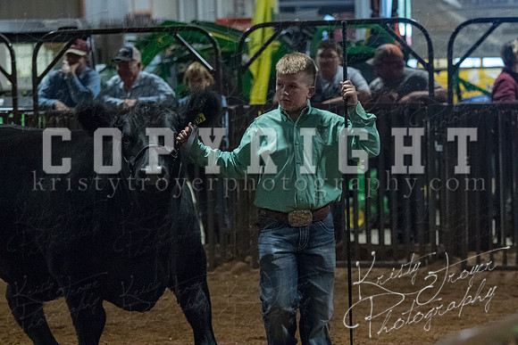 mayes__county_fair_beef_3504