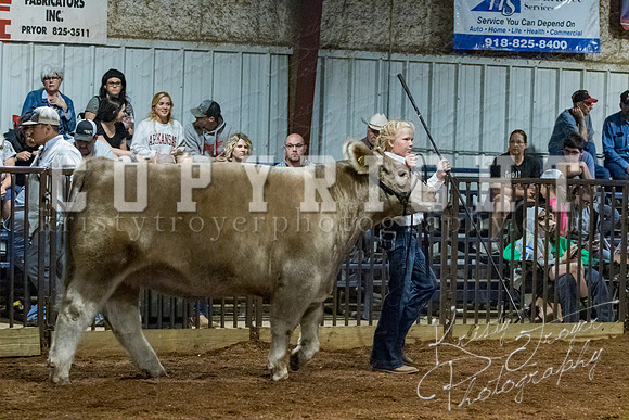 mayes__county_fair_beef_3505