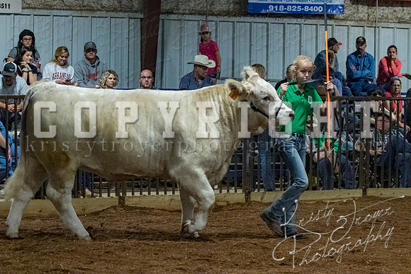 mayes__county_fair_beef_3506