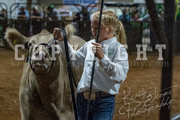 mayes__county_fair_beef_3507