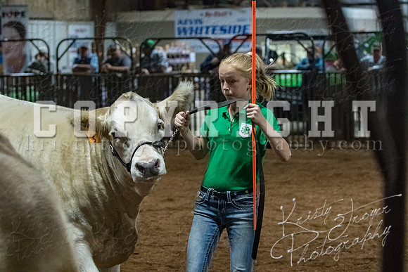 mayes__county_fair_beef_3508