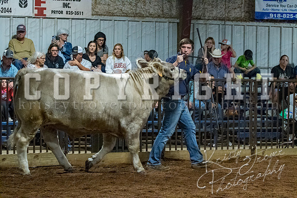 mayes__county_fair_beef_3509