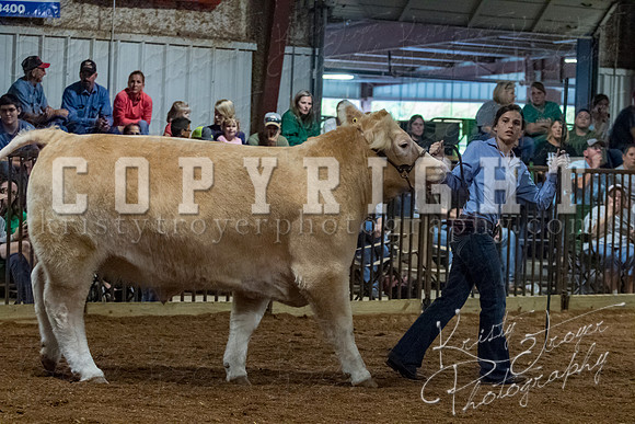 mayes__county_fair_beef_3511