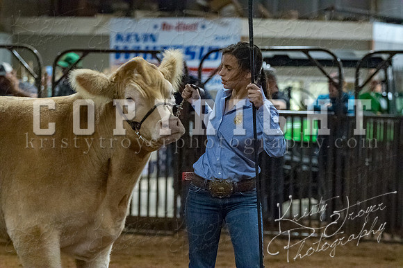 mayes__county_fair_beef_3512