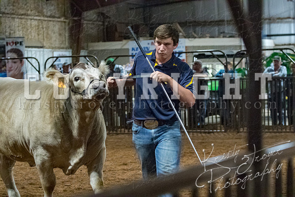 mayes__county_fair_beef_3515