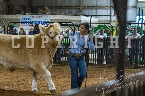 mayes__county_fair_beef_3516