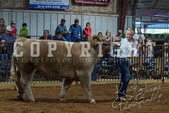 mayes__county_fair_beef_3518
