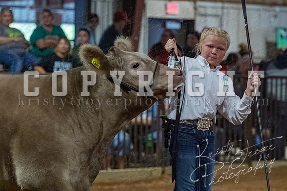mayes__county_fair_beef_3519